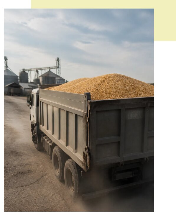 Перевозка сельхозпродукции навалом в Ленинск-Кузнецкого по цене от 3066 р. | Агросервис-Лнн